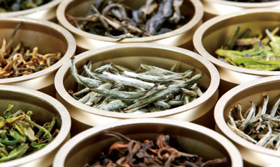杜國楹 以創(chuàng)新重塑品牌認知，憑品質(zhì)成就茶葉價值