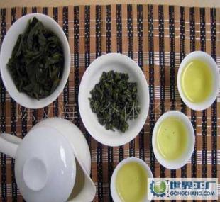 品味秋韻 2011年鐵觀音秋茶新上市，邀您共賞醇香