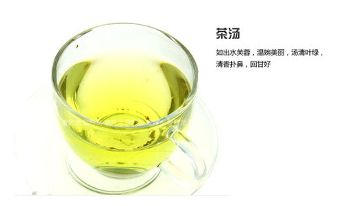 與山共飲，一葉知心——溪源茶葉產(chǎn)品圖賞與意境店鋪設(shè)計解析